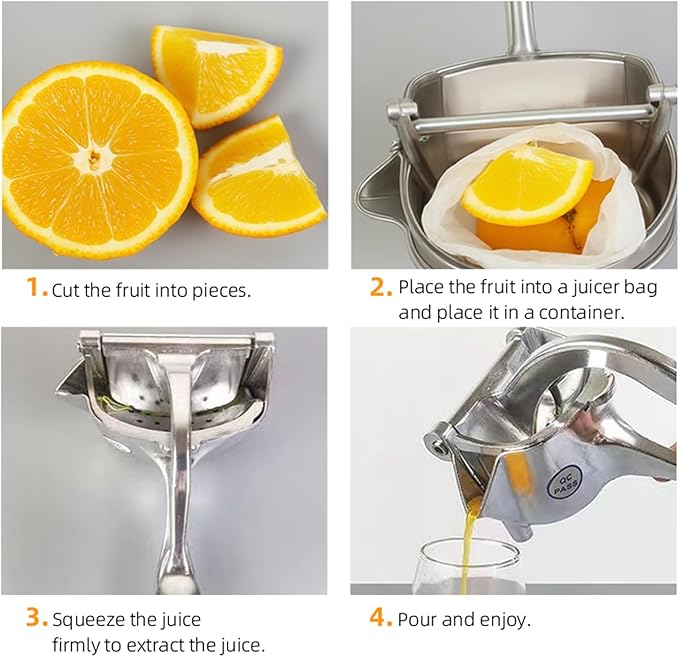 Fresh Fruit Juice Extractor