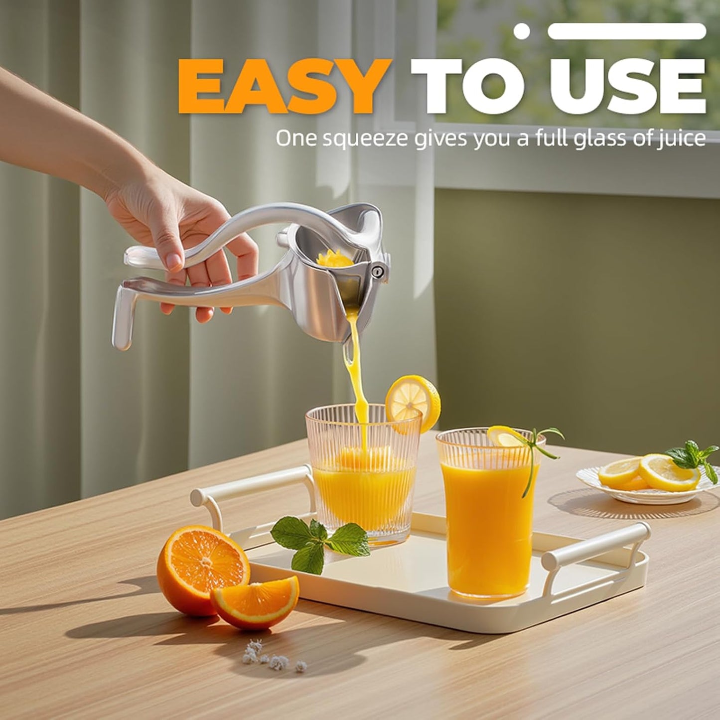 Fresh Fruit Juice Extractor