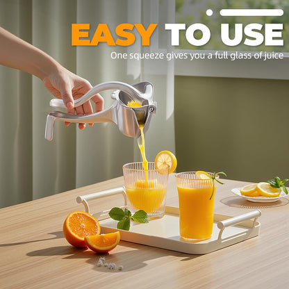 Fresh Fruit Juice Extractor